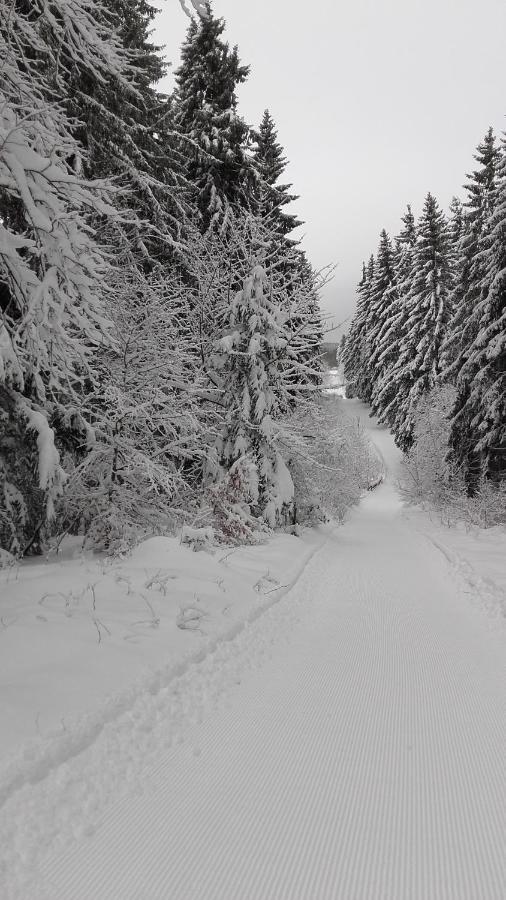Haus Tippe Lägenhet Braunlage Exteriör bild